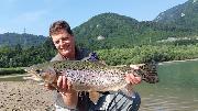 Richard, Chiristopher, big Rainbow trout June, Slovenia fly fishing